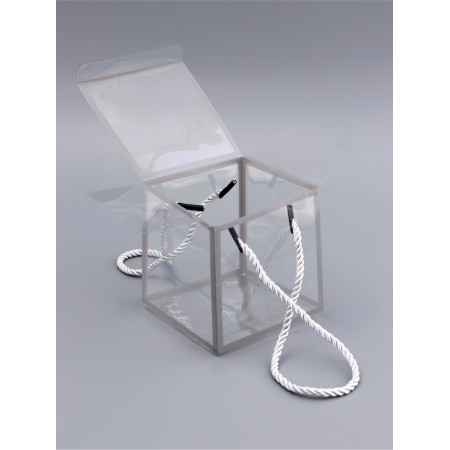 PET box with handles, silver, 10 x 10 x 10 cm-2
