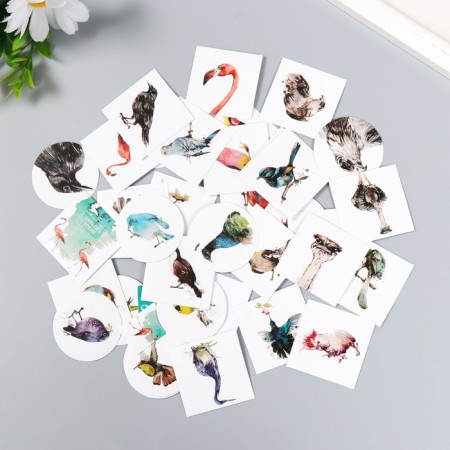 A set of stickers "Rare birds" 40 pcs in a box 3.8x3.8 cm