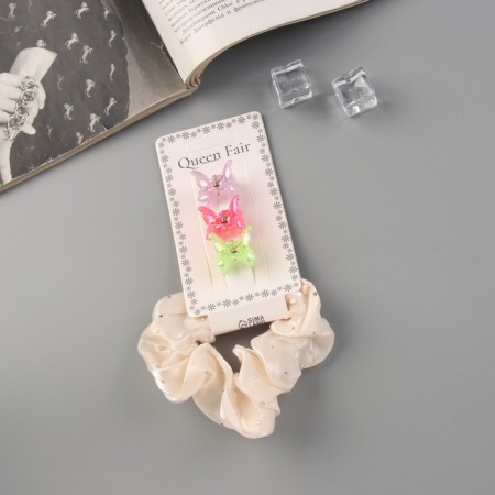 Hair Set "Jesse Brill" (Gum 7 cm, 3 Crab 2 cm) Tenderness, Mix