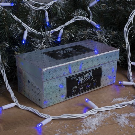 Garland "thread" 10 m, IP65, UMS, white thread, 100 led, glow blue, 220 V-2