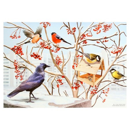 Demonstration paintings A3 "Wintering and migratory birds" Methodical material-4
