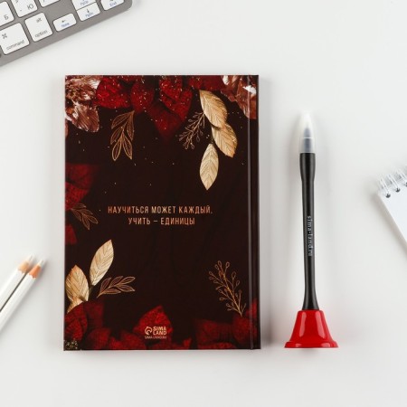 Gift set to the "Dear Teacher": Diary and Handle Handle (Ballic, Blue Paste, 1 mm)-4