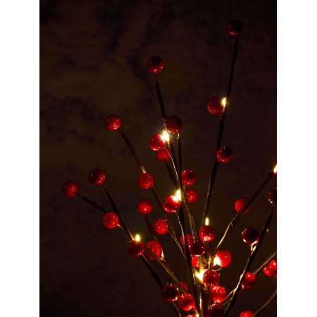 LED bush "Ryabina" 45 cm, 24 LED, constant glow, from AAX3 batteries (not in the kit), glow warm white-2