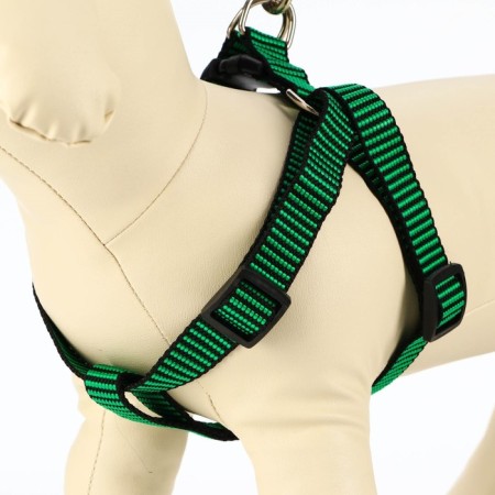 Acunition set is embossed, leash 120 x 2 cm, og 44-50 cm, green-black-1