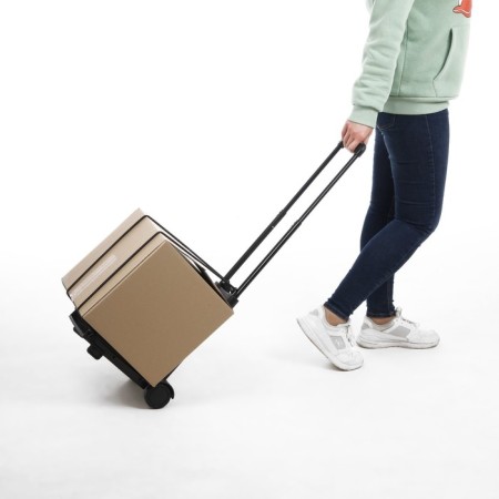 Folding cart for purchases and baggage, up to 30 kg, 250 × 330 × 445 (960) mm, plastic/aluminum-7