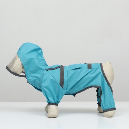 Combiason for dogs, demi -season with a visor, size M (DS 32, OG 45, Osh 35 cm), blue-5