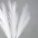 Pampas artificial grass, height 70 cm, 6 brushes, white color