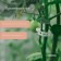 Garden clip, d = 15 mm, set 50 pcs., Greengo