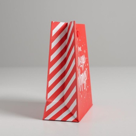 Package Laminated Vertical “Gift from Santa Claus”, S 12 x 15 x 5.5 cm, New Year-1