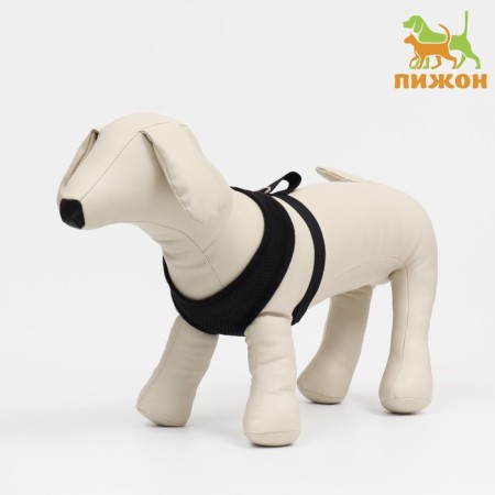 Slut is soft made of neoprene, size XL, Osh 42 cm, OG 38-50 cm, black