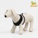 Slut is soft made of neoprene, size XL, Osh 42 cm, OG 38-50 cm, black