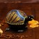 Souvenir-Jewish "Turtle Disneric with a swinging head" tree 17x12x10 cm mix