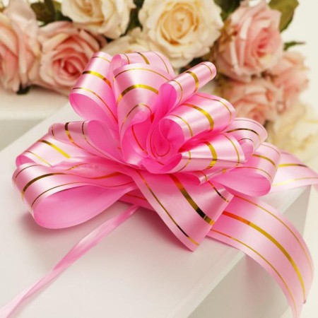 Bant-Shar No. 5 "Golden Strips", pink color-2