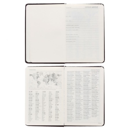 Delicidal Lowed A6 (87 x 131 mm), 100 MEGAPOLIS sheets, hard cover, artificial leather, black-3