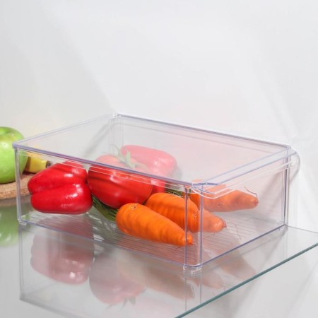 A container for a refrigerator with a lid IDEA, 20 × 30 × 10 cm, the color is transparent