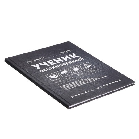 The diary is universal, for grade 1-11, "ordinary", solid cover, Soft Toch lamination, offset unit, universal cheat sheet, 48 sheets-1