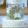 Falseyarus for the cake, cylinder, d = 15 cm, h = 12 cm, the color is transparent