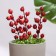 Set of plugs "Berries" 15 pcs, red, 4x4cm/20cm