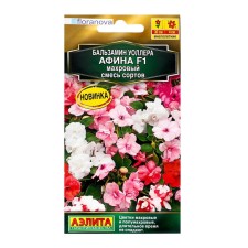 Balzamin Flowers 