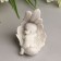 Polystone souvenir "Baby sleeping in the wing" White 8.7x6x5.5 cm