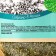 Peppermint, herbal gathering, healthy sleep and improving digestion, 50 g.