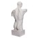 Anatomical gypsum figure: Goidon torso, 12 x 15 x 48 cm