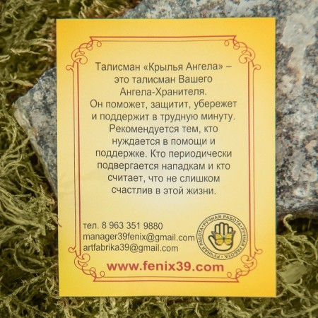 Talisman key "Wings", natural amber-3