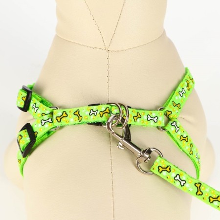 Set "Star Bones", leash 120 x 1 cm, fire 23-35 cm, green-3