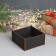 New Year's box "Snake smiles" 6x12x12 cm