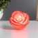 Night Rose 2W LED LR44 Red 6.6x6.6x4cm