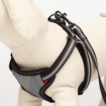 AMUNICATIONAL SIGNITION SIGNITURE, size S, OG 35-60 cm, sling 1.5 cm, gray-1