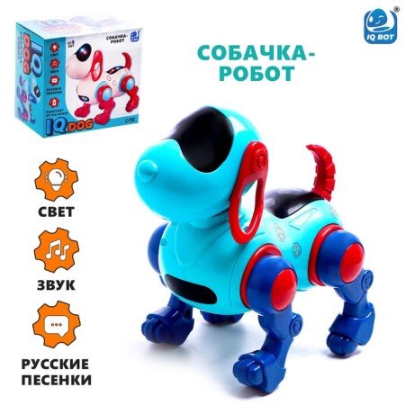 IQ DOG robot pillbox, sings, works, works from batteries, blue color