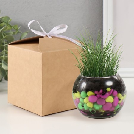 Set for growing plants "grow grass" Shar transparent-3