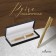 Gift handle, ballpoint, in the leatherette case, rotary, VIP case, golden case