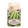 Semen zucchini "Denis", 10 pcs.