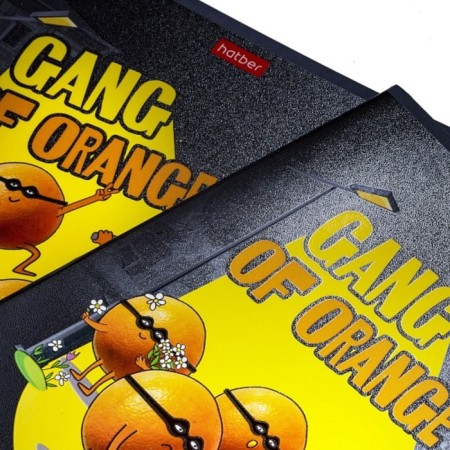 Notebook 48 sheets Cell "Orange Gang", cover coated cardboard, selective matte varnish, unit 65 g/m2, 5v mix-6
