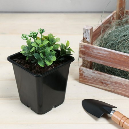 A pot for seedlings, 500 ml, d = 9 cm, h = 9.5 cm, black-5