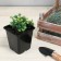 A pot for seedlings, 500 ml, d = 9 cm, h = 9.5 cm, black