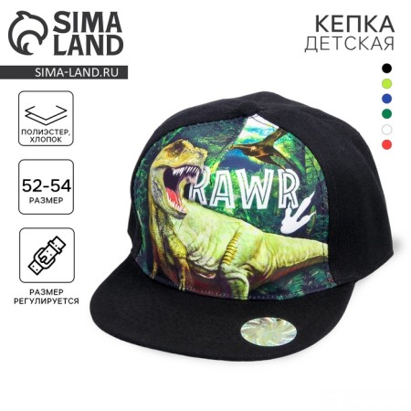 Children's cap for the boy "Rex", district. 52-54 cm