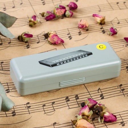 Music Life T10-1 C BLACK DIATONICAL HALLLY, 10 holes, with case-3