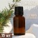 Essential oil "Pine" 15 ml, for your brand and design