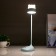 Sensory table lamp 16753/1 LED 2W 6000K USB AKB Blue 9x11x38 cm Risalux