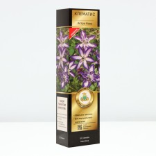 Clematis botanical suite 