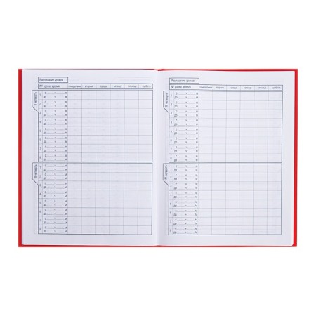 Universal diary for grades 1-11 Russia, hard cover, glossy lamination, 40 sheets-6