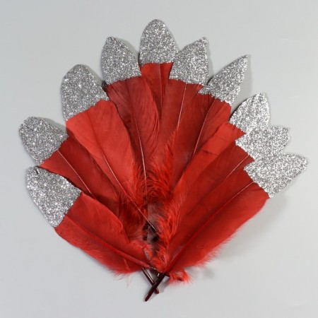 A set of goose feathers 15-20 cm, 10 pcs, red wine with silver crumb-1