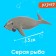 Set of marine animals "sea inhabitants", 6 figures