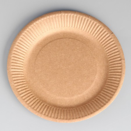 Disposable plate "craft" cardboard, 23 cm-1