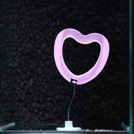 Field feeder floating, luminous, 7.5 x 7.5 cm, purple-1