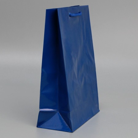 Gift laminated package, packaging, “blue”, ml 21 x 25 x 8 cm-3