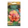 Viola seeds "Kan Kan", F1,